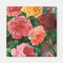 Seed Catalogue 1 Roses Magnet