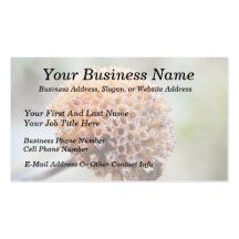 Seed Head - Bee Balm Business Card Template