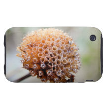 Seed Head - Bee Balm Tough iPhone 3 Cover