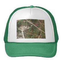 Seed heads mesh hats