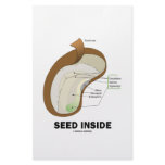 Seed Inside (Biology Humor Food For Thought) Stationery Paper