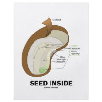 Seed Inside (Biology Humour Food For Thought)