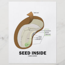 Seed Inside (Biology Humour Food For Thought) Flyer