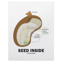 Seed Inside (Biology Humour Food For Thought)