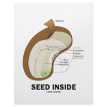 Seed Inside (Biology Humour Food For Thought) letterhead