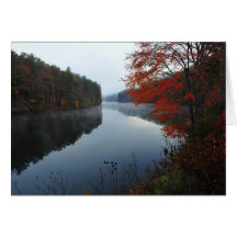 Seed Lake Cards