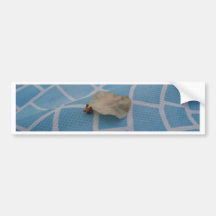 Seed on Blue Bumper Stickers