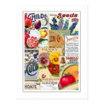 Seed Packets Post Card