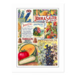Seed Packets Postcard