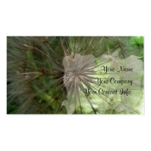 Seed Pod Business Card Template