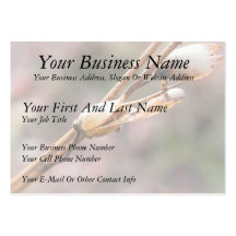 Seed Pod - Nicotiana Business Cards