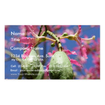 Seed Pods Business Card Template