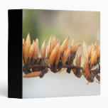 Seed Pods - Butterfly Bush 3 Ring Binder