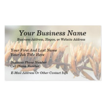 Seed Pods - Butterfly Bush Business Card Template
