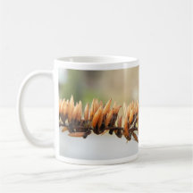 Seed Pods - Butterfly Bush Coffee Mug
