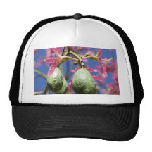 Seed Pods Hats