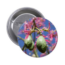 Seed Pods Pinback Buttons