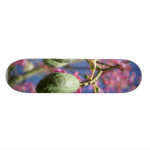 Seed Pods Skate Decks