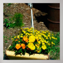 Seeder Flower Poster