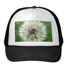 Seeding Dandelion Trucker Hat