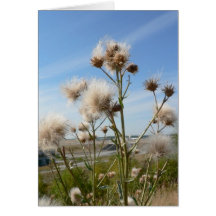 Seeding Plant Card