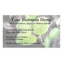 Seedling - Hellebore Business Cards