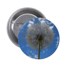Seeds of a Dream Buttons