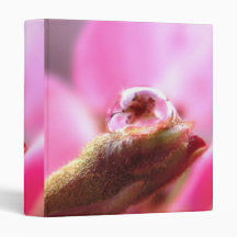 Seeing Clearly Binder