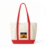 Seeking the Great Pumpkin Tote Bags