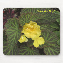 Seize the Day Begonia Mousepad