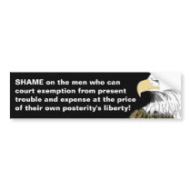 Selling Posterity's Liberty Bumper Stickers