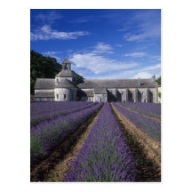 Senanque Abbey, Gordes, Vaucluse, Provence, Postcard