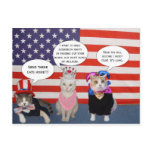 Send these cats home!