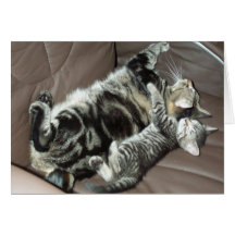 "Sending a hug" kitten card