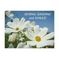 SENDING SUNSHINE & Smiles! Postcard Valentines