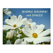 SENDING SUNSHINE & Smiles! Postcard Valentines