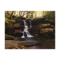 Seneca Creek Falls Postcard