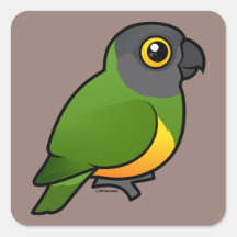 Senegal Parrot Square Stickers