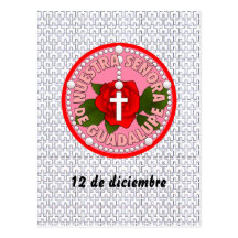 Señora de Guadalupe Post Card