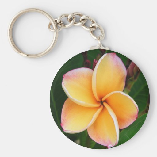 Sens tropicaux porte-clés
