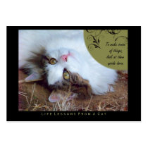 Sense Life Lessons From A Cat ACEO Art Cards