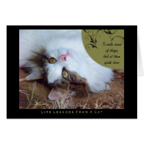 Sense Life Lessons From A Cat Card