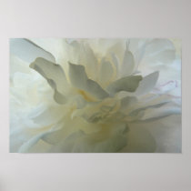 Sensual Delight poster posters