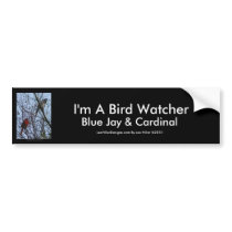 Sentinels Blue Jay and Cardinal by Lee Hiller Bumper Sticker