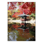 Seoul Autumn Colours Cards