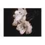 Sepia Alstroemeria Lily Postcard