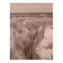 Sepia Beach Scene Post Cards