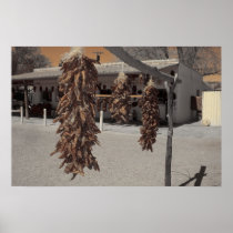 sepia chili peppers poster art print