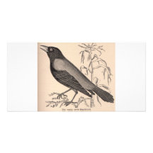Sepia Crow Custom Photo Card