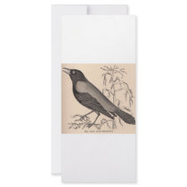 Sepia Crow Full Color Rack Card